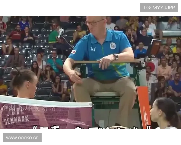 空中对抗判罚的争议点与裁判视角的详细解读